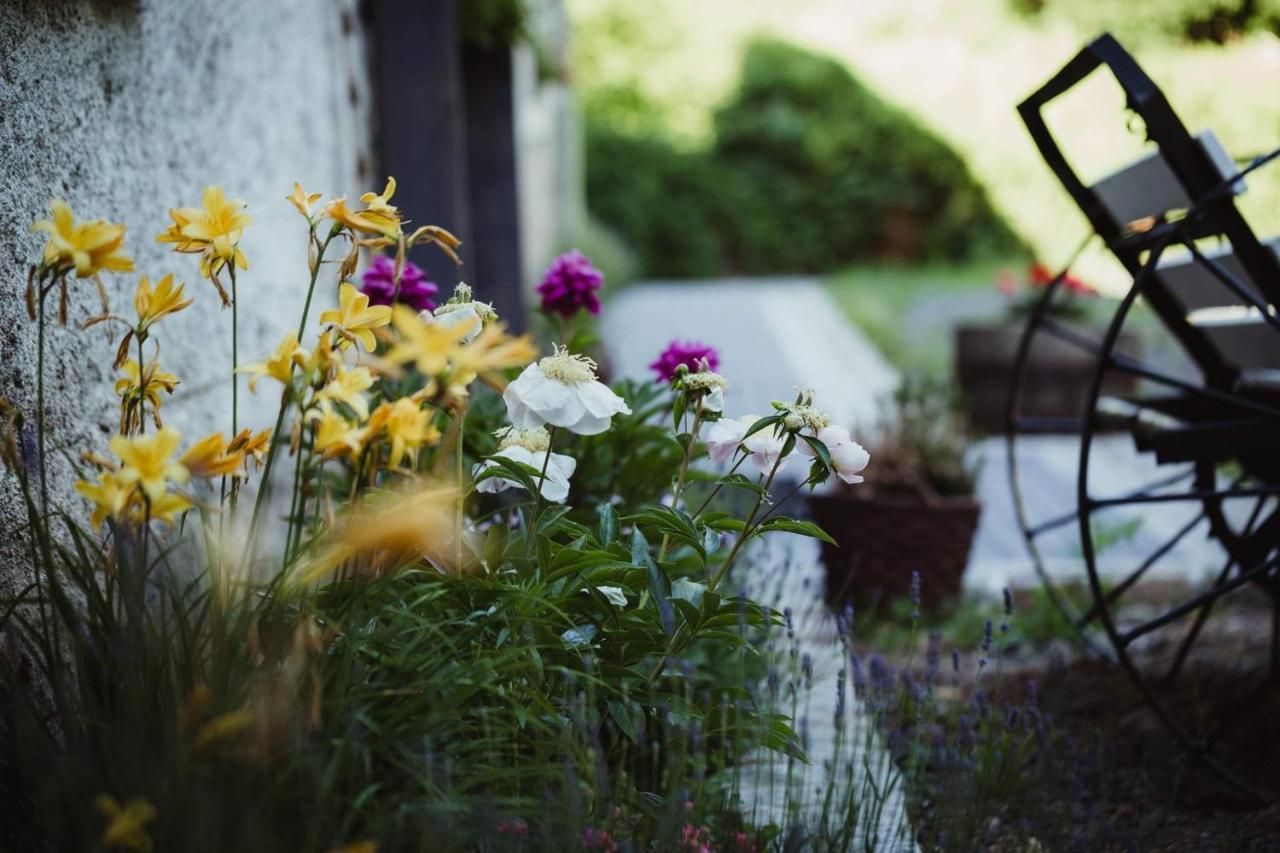 Lawendowa Stajnia Bed & Breakfast Lwowek Slaski Exterior photo